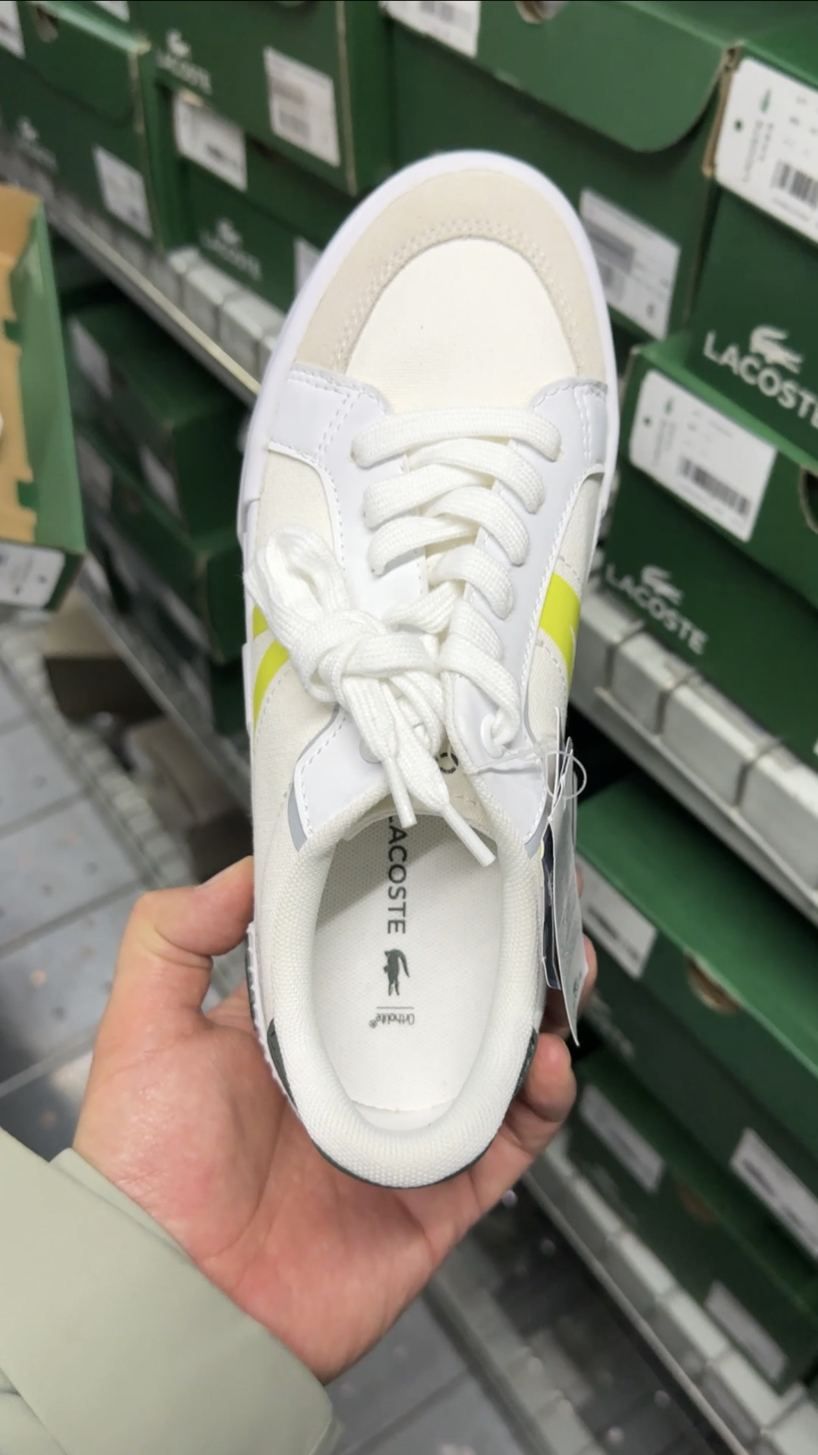 Lacoste stock photo 2