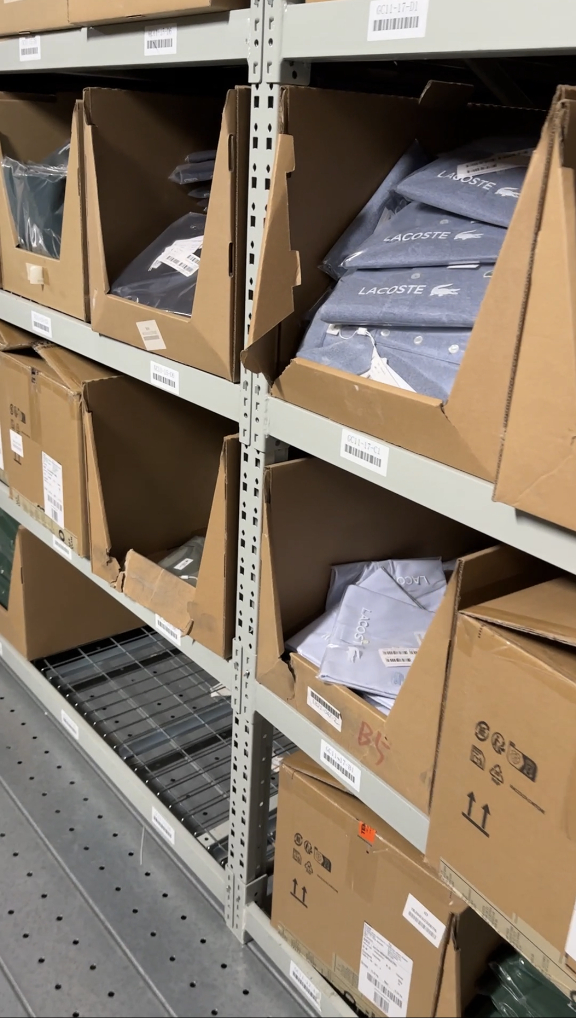 Lacoste stock photo 3