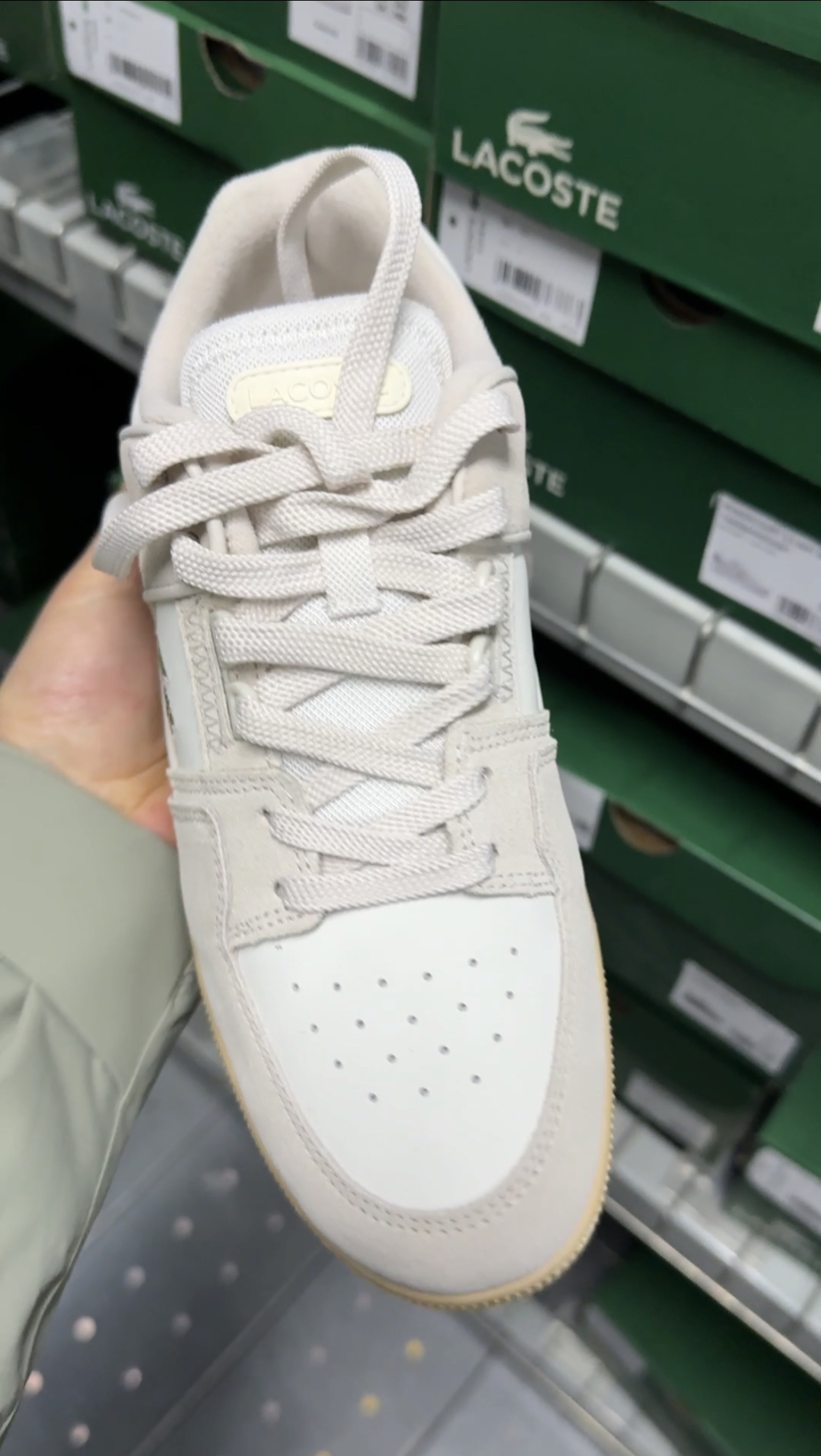 Lacoste stock photo 4