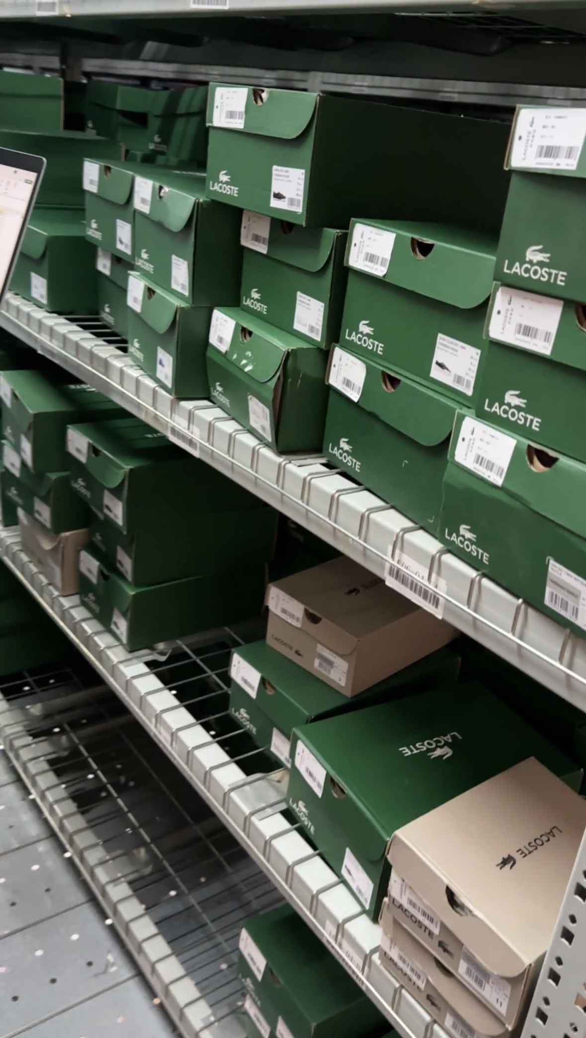 Lacoste stock photo 5