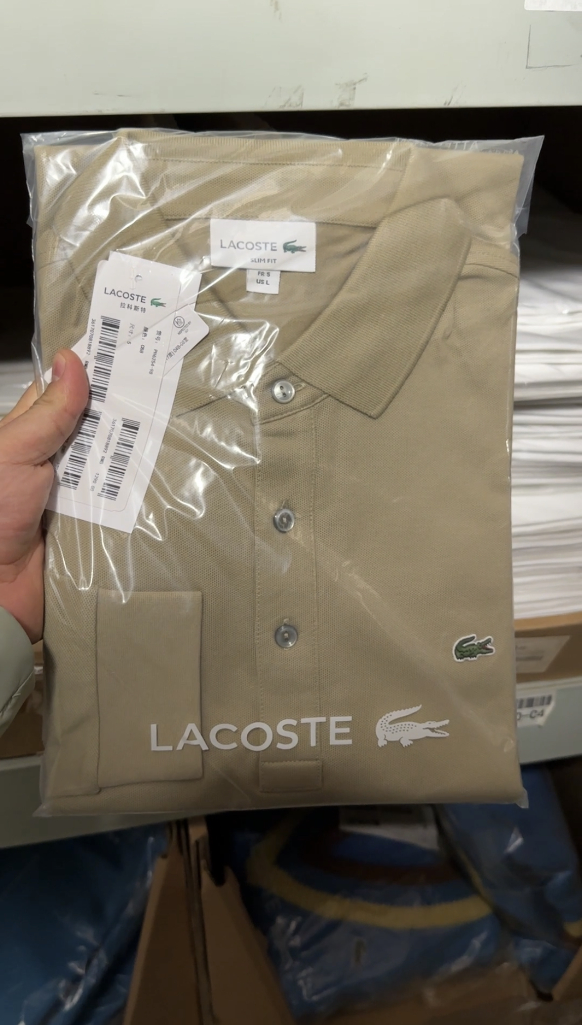 Lacoste stock photo 6