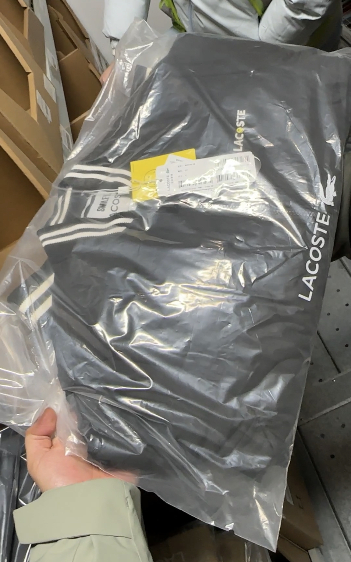 Lacoste stock photo 11