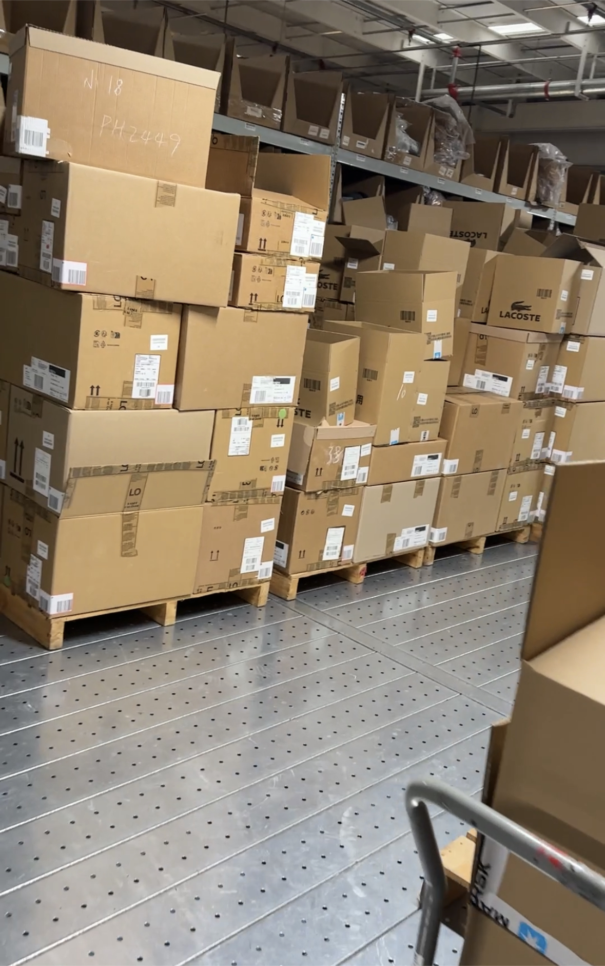 Lacoste stock photo 14