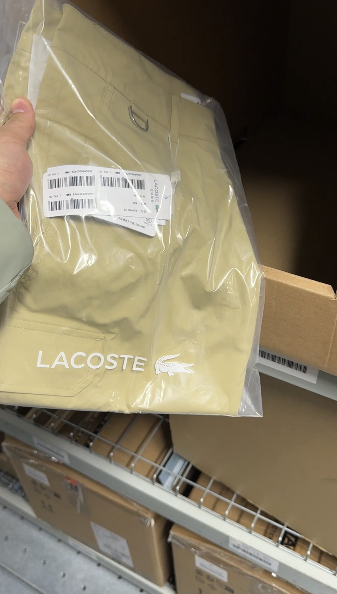 Lacoste stock photo 15